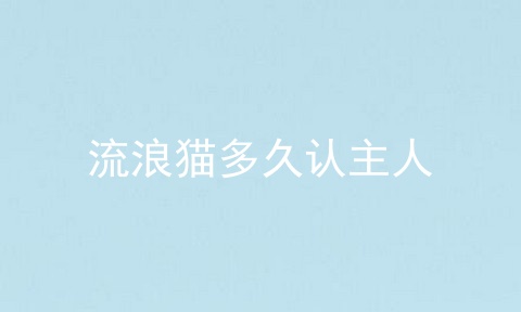 流浪猫多久认主人
