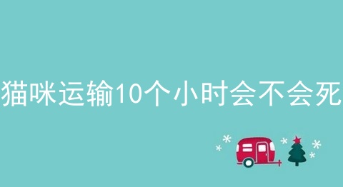 猫咪运输10个小时会不会死