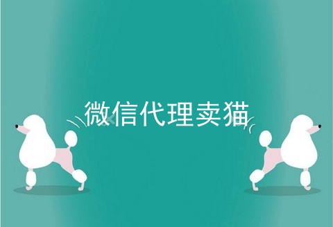 微信代理卖猫