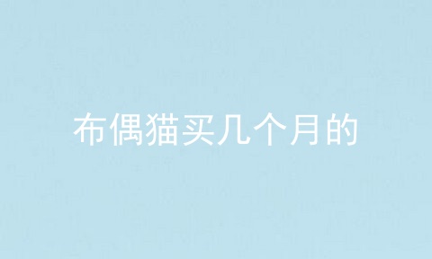 布偶猫买几个月的