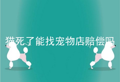 猫死了能找宠物店赔偿吗