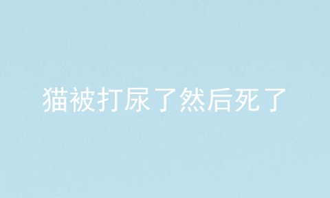 猫被打尿了然后死了