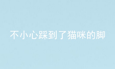 不小心踩到了猫咪的脚