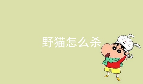 野猫怎么杀