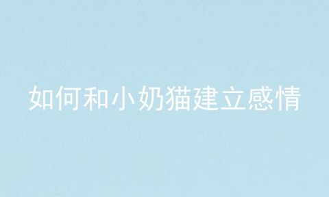 如何和小奶猫建立感情