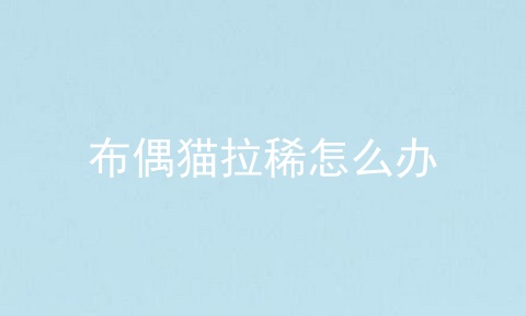 布偶猫拉稀怎么办
