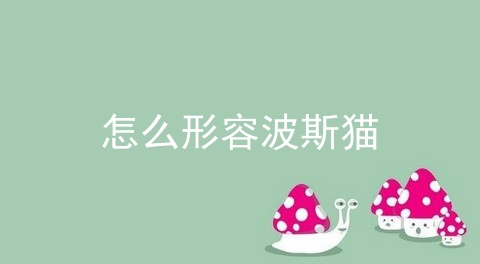 怎么形容波斯猫