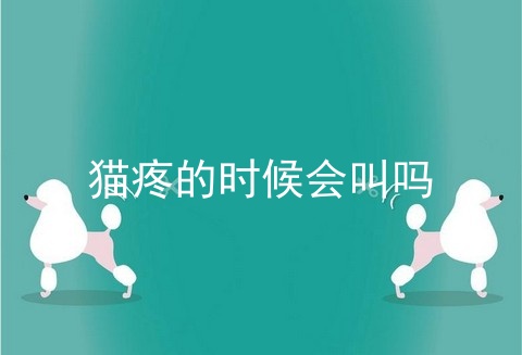猫疼的时候会叫吗