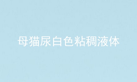 母猫尿白色粘稠液体