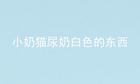 小奶猫尿奶白色的东西