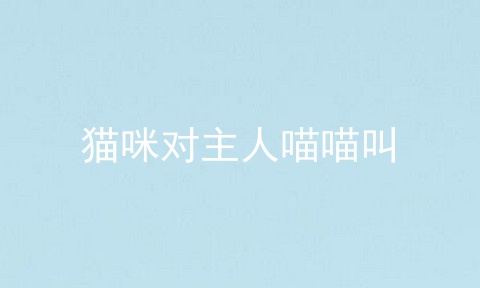猫咪对主人喵喵叫