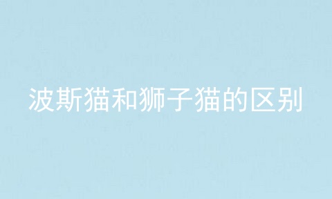 波斯猫和狮子猫的区别