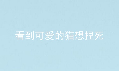 看到可爱的猫想捏死