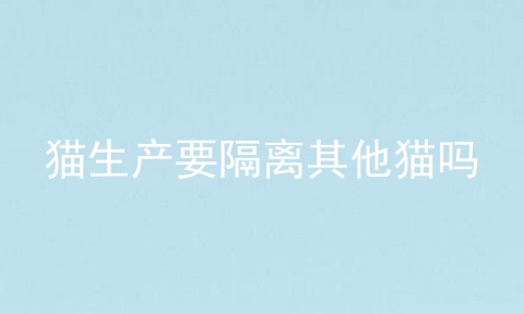 猫生产要隔离其他猫吗