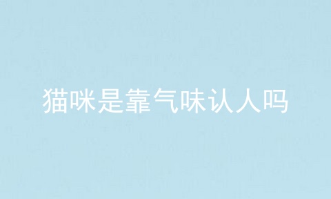 猫咪是靠气味认人吗