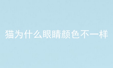 猫为什么眼睛颜色不一样