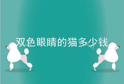 双色眼睛的猫多少钱