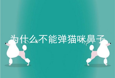 为什么不能弹猫咪鼻子