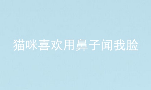 猫咪喜欢用鼻子闻我脸