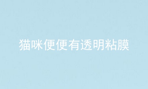 猫咪便便有透明粘膜