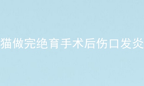 猫做完绝育手术后伤口发炎