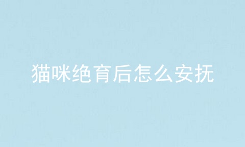 猫咪绝育后怎么安抚