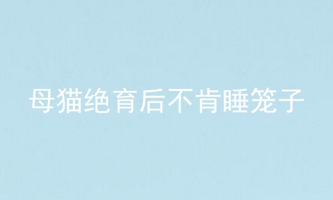 母猫绝育后不肯睡笼子