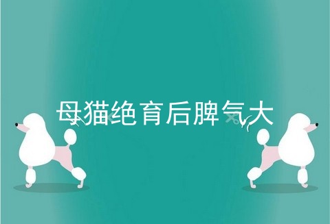 母猫绝育后脾气大