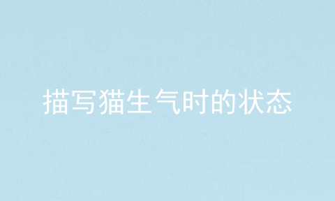 描写猫生气时的状态