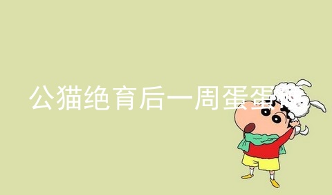 公猫绝育后一周蛋蛋硬