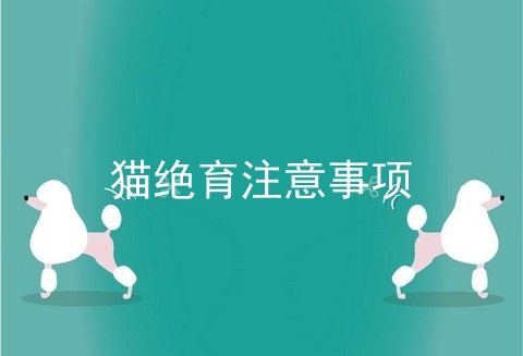 猫绝育注意事项