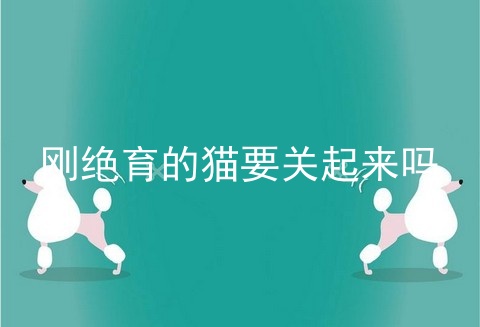 刚绝育的猫要关起来吗