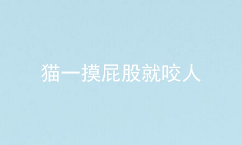 猫一摸屁股就咬人