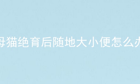 母猫绝育后随地大小便怎么办