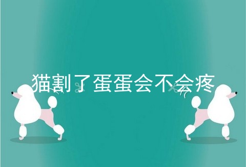 猫割了蛋蛋会不会疼