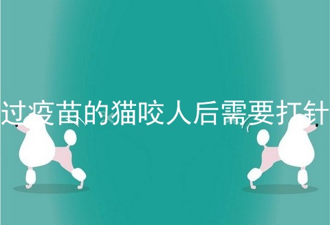 打过疫苗的猫咬人后需要打针吗