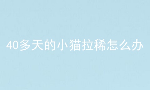 40多天的小猫拉稀怎么办