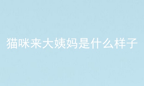 猫咪来大姨妈是什么样子