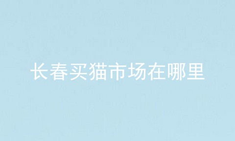 长春买猫市场在哪里