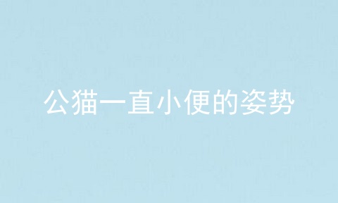 公猫一直小便的姿势