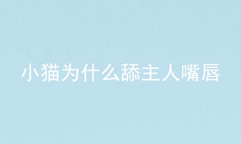 小猫为什么舔主人嘴唇