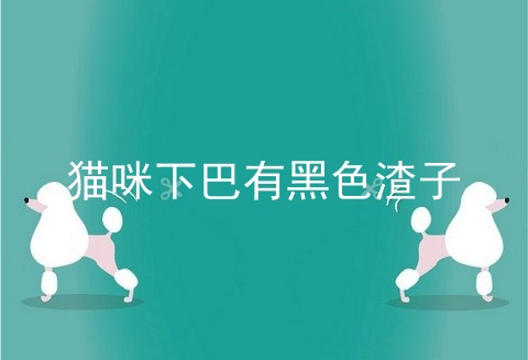 猫咪下巴有黑色渣子