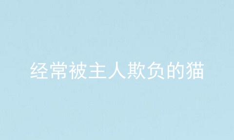 经常被主人欺负的猫