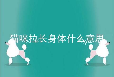猫咪拉长身体什么意思