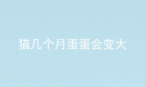 猫几个月蛋蛋会变大