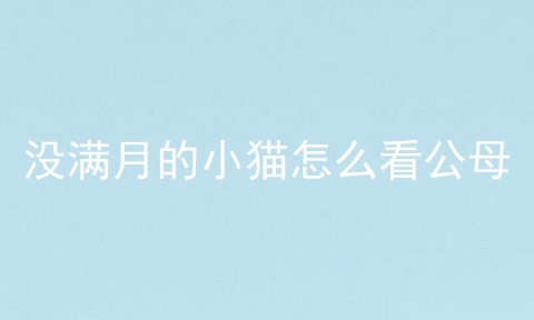 没满月的小猫怎么看公母