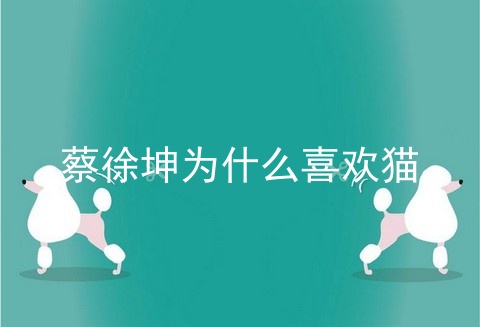 蔡徐坤为什么喜欢猫