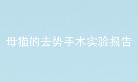 母猫的去势手术实验报告