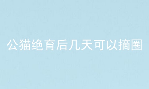 公猫绝育后几天可以摘圈