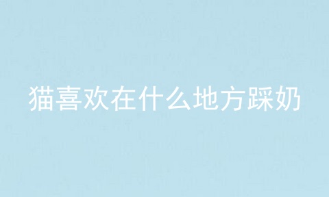 猫喜欢在什么地方踩奶